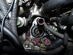 AT Oil Temp light came on-coolent-leak.jpg