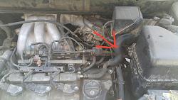 What type of Hose is this?-engine.jpg