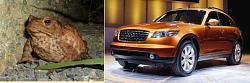 Did anybody consider the Infiniti FX-toad-n-fx.jpg