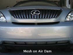 Mesh on Air Dam-mesh-on-air-dam-x.jpg