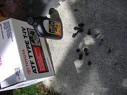 Transmission Fluid Change - diy  and pics-dsc02075.jpg