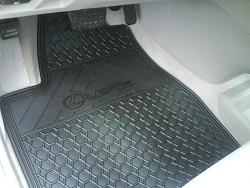 Canadian All Weather Floor mats-dsc01360.jpg