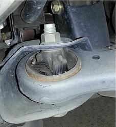 DIY Replacing lower control arm bushings and ball joints (***w/ pics***)-rx330_bushing-0.jpg