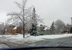 Ice Storm 2013-ice3.jpg