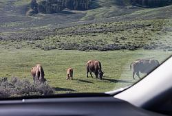 Pics of your 3RX right now!-small_yellowstone_20140528_065718_0154.jpg