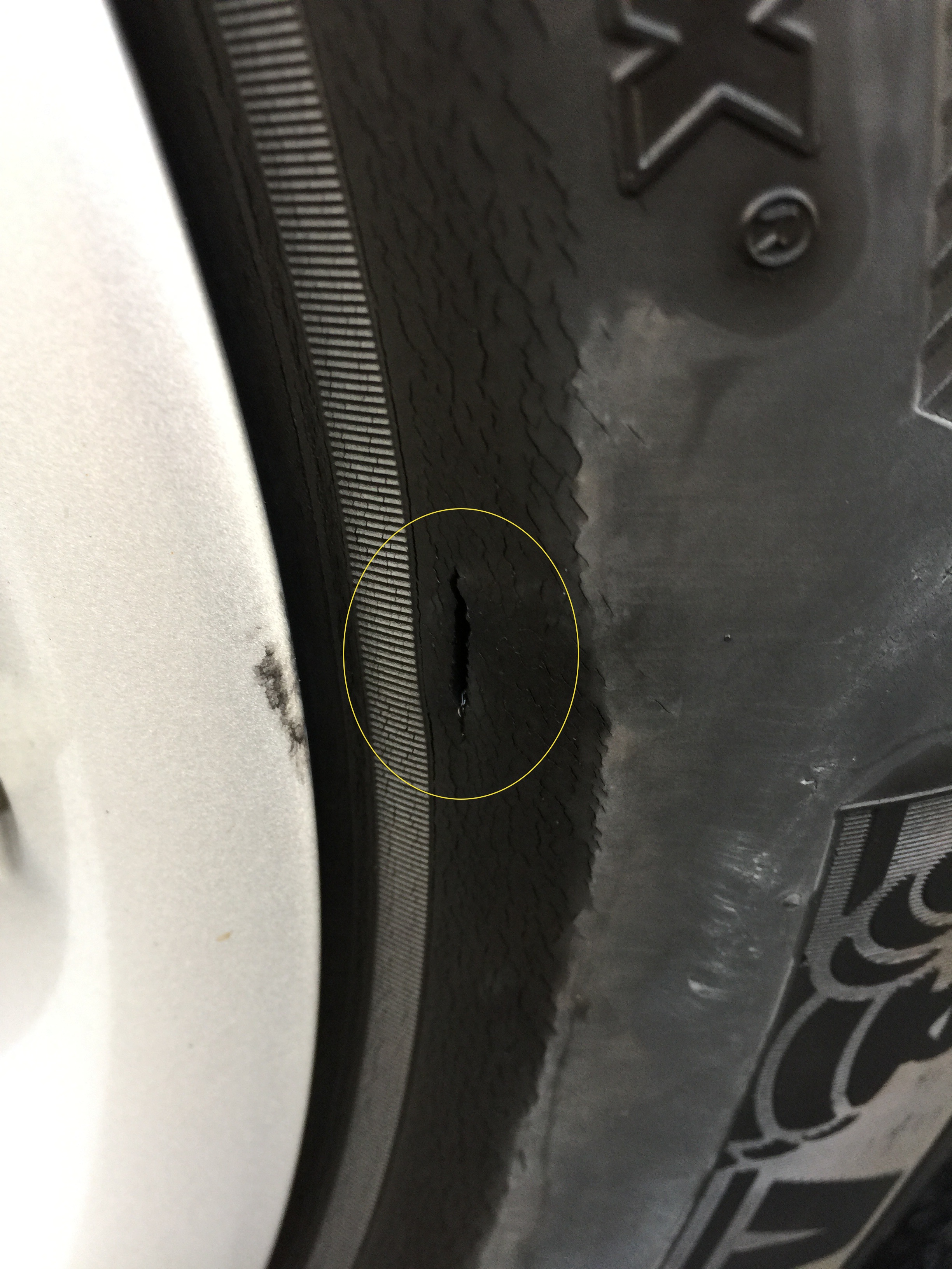 How did my tire wear on the inside like this? - ClubLexus - Lexus Forum  Discussion