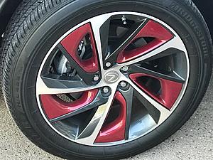 Custom OEM rims.. What do you all think?-img_6314.jpg