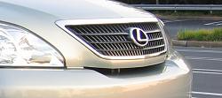 FS:  RX330-350 Hybrid Grille-hybrid-grille.jpg