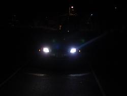 Highest Quality KRYPTON/XENON Bulbs-dsc01097.jpg