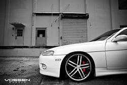 New look for my SC3-vossen-foto-4.jpg