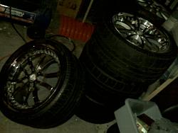 damn im sittin to chunky 18x10 +??? lowenhart tiger and bears-img00037.jpg