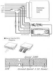 (Fast) ECU wiring help needed-revspeed.jpg