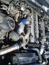 How and why do i keep geting water in my cylinders! car wont start because of it.-buckskin-roan-006.jpg