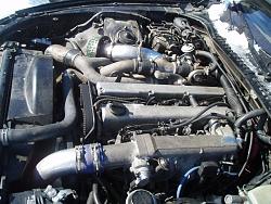 How and why do i keep geting water in my cylinders! car wont start because of it.-buckskin-roan-005.jpg