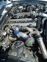 How and why do i keep geting water in my cylinders! car wont start because of it.-buckskin-roan-007.jpg