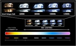 Lexi's Journey :)-hid-color-chart-large.jpg