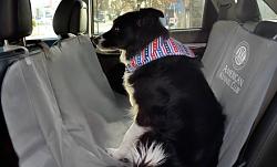 If you had to part with your SC What would you get?-dog-car-seat-guard.jpg