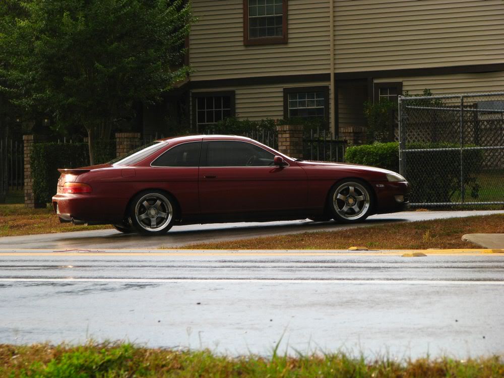 Name:  lonesome-soarer1.jpg
Views: 476
Size:  118.5 KB