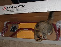 YAY, new toys again!-daizen2.jpg