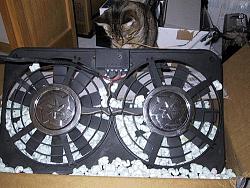 Dual Electric Fans-fans.jpg