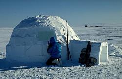 Prayers answered, found 2002 430SC!!-inupiat-eskimo-igloo_438.jpg