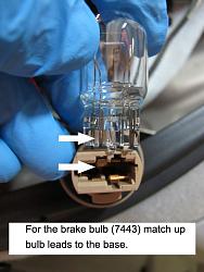 How to replace the rear brake, signal, and reverse bulbs in the SC 430-11-insert-bulb.jpg