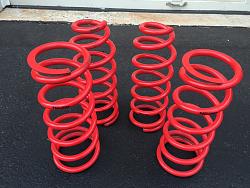 FS: Tanabe NF210 Springs for SC430 02-04-image.jpeg
