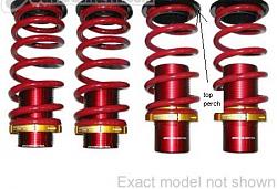 Will this work for coilovers?????-gc.jpg