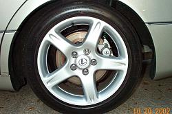 Any Pics of Your Ride With Painted Calipers?-wheel.jpg