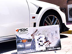 Ark's performances GT-S lowering springs?-photo708.jpg