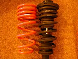 Tanabe NF210 Springs???-fs.jpg