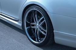 FS*Stag*20x10 and 20x8.5.-2.jpg