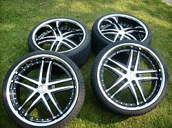 FS*Stag*20x10 and 20x8.5.-picture-241.jpg