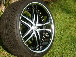 FS*Stag*20x10 and 20x8.5.-picture-255.jpg