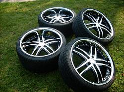 FS*Stag*20x10 and 20x8.5.-picture-247.jpg