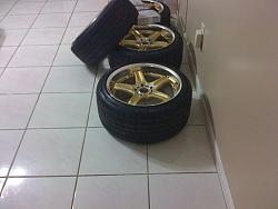 Fs: volk gtc's gold staggered-1-28-10-130.jpg