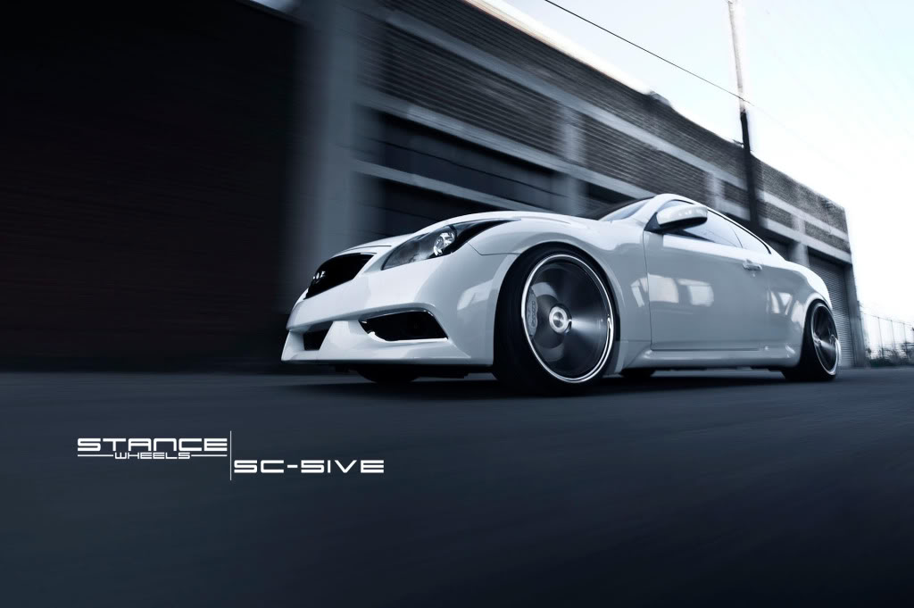 Name:  stance3.jpg
Views: 732
Size:  63.2 KB