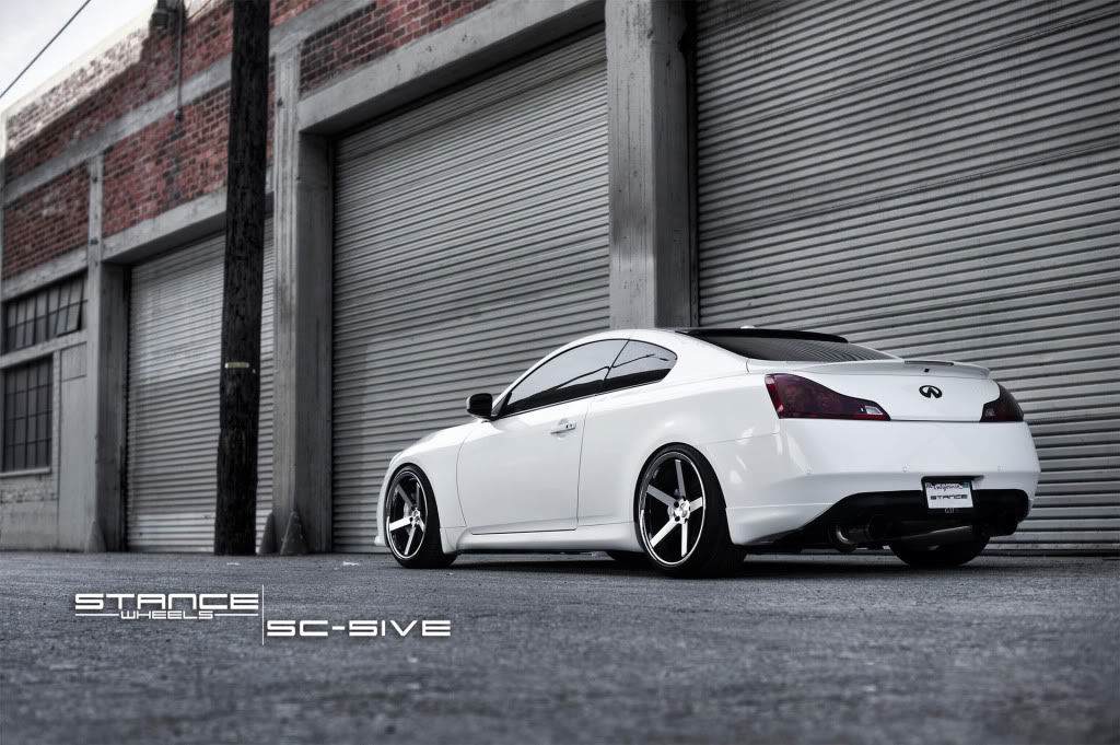 Name:  stance2.jpg
Views: 768
Size:  142.9 KB