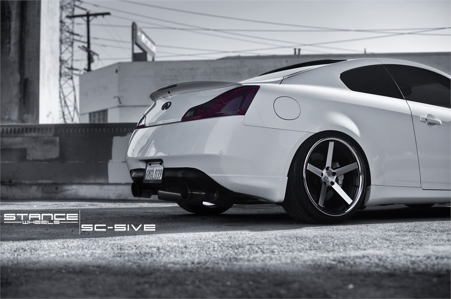 Name:  stance11.jpg
Views: 1340
Size:  80.1 KB