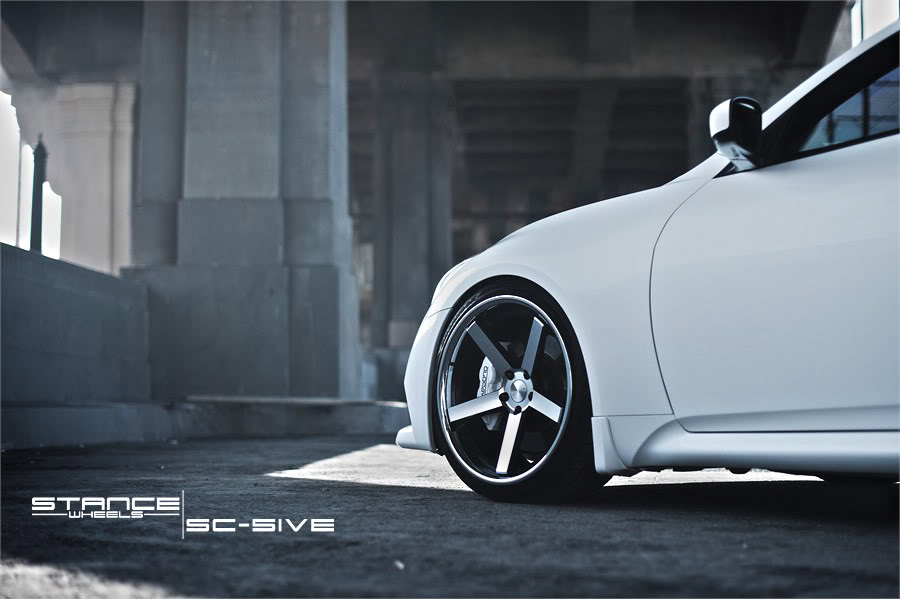 Name:  stance10.jpg
Views: 752
Size:  60.3 KB