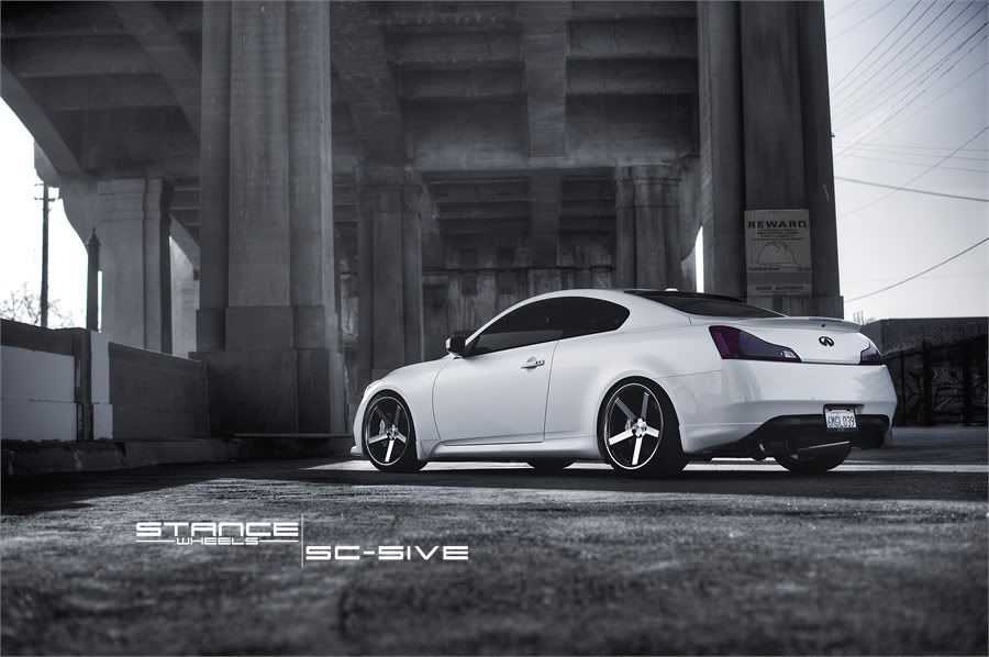 Name:  stance8.jpg
Views: 701
Size:  81.7 KB