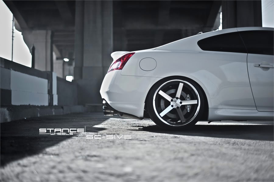 Name:  stance7.jpg
Views: 676
Size:  64.1 KB