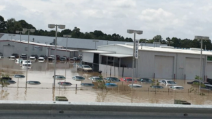 Toyota and Lexus Trying to Make Life Easier for Flooded Louisianans
