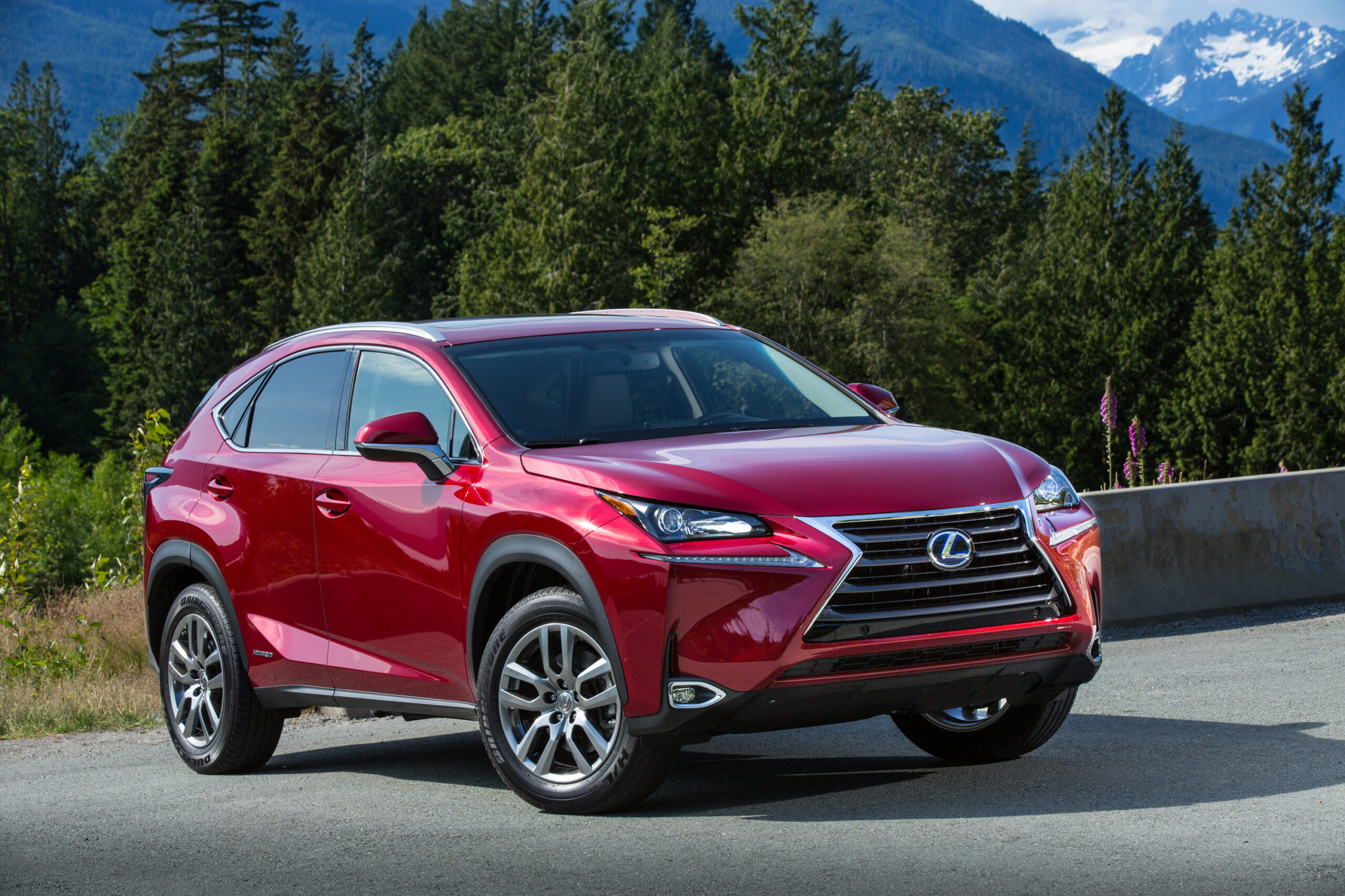 2021 Lexus Nx 300h Clublexus 5069