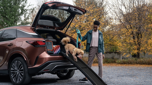 4 Accessories to Make Your Lexus More Pet-Friendly