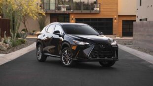 2025 Lexus NX